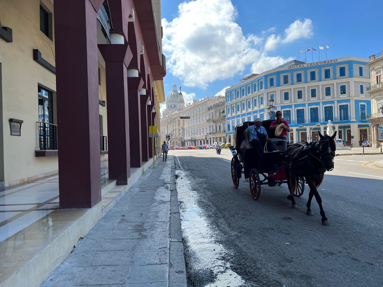 Connoisseur's Pick Cigars