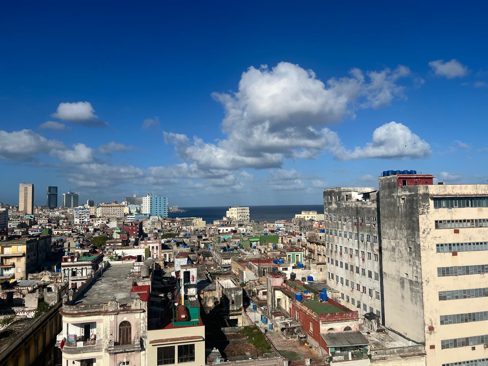 Premium Cigar Selection